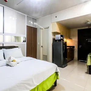 Prs At One Palm Tree Near T3 Airport Manila